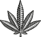 La Canapa Cannabis Vancouver Main