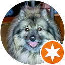 Shelley Small Shelley Small